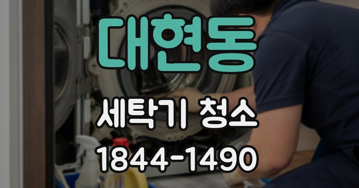 대현동 세탁기 청소