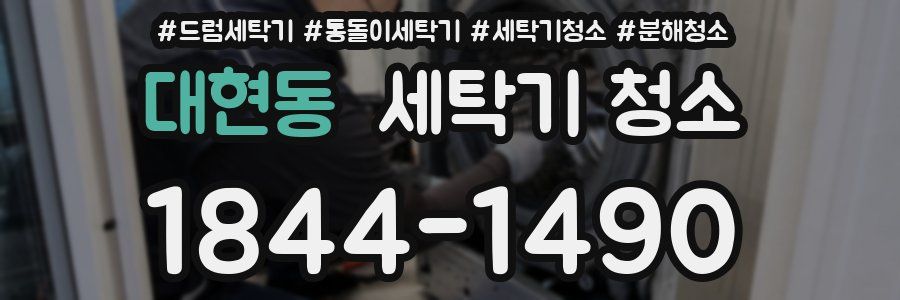 대현동 세탁기 청소