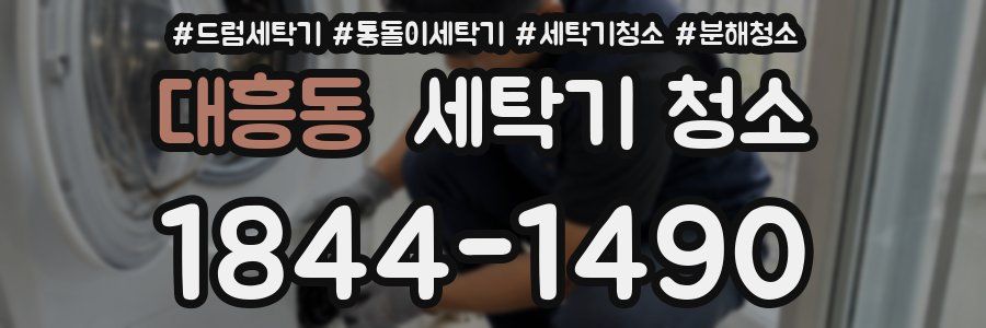 대흥동 세탁기 청소