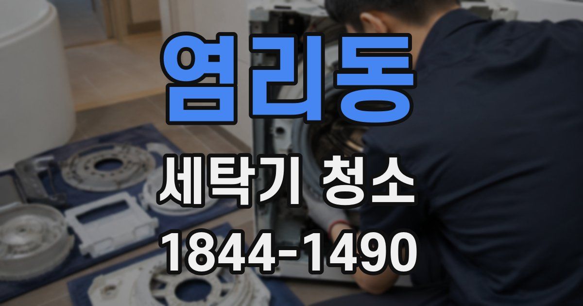 염리동 세탁기 청소