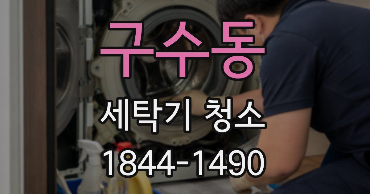 구수동 세탁기 청소