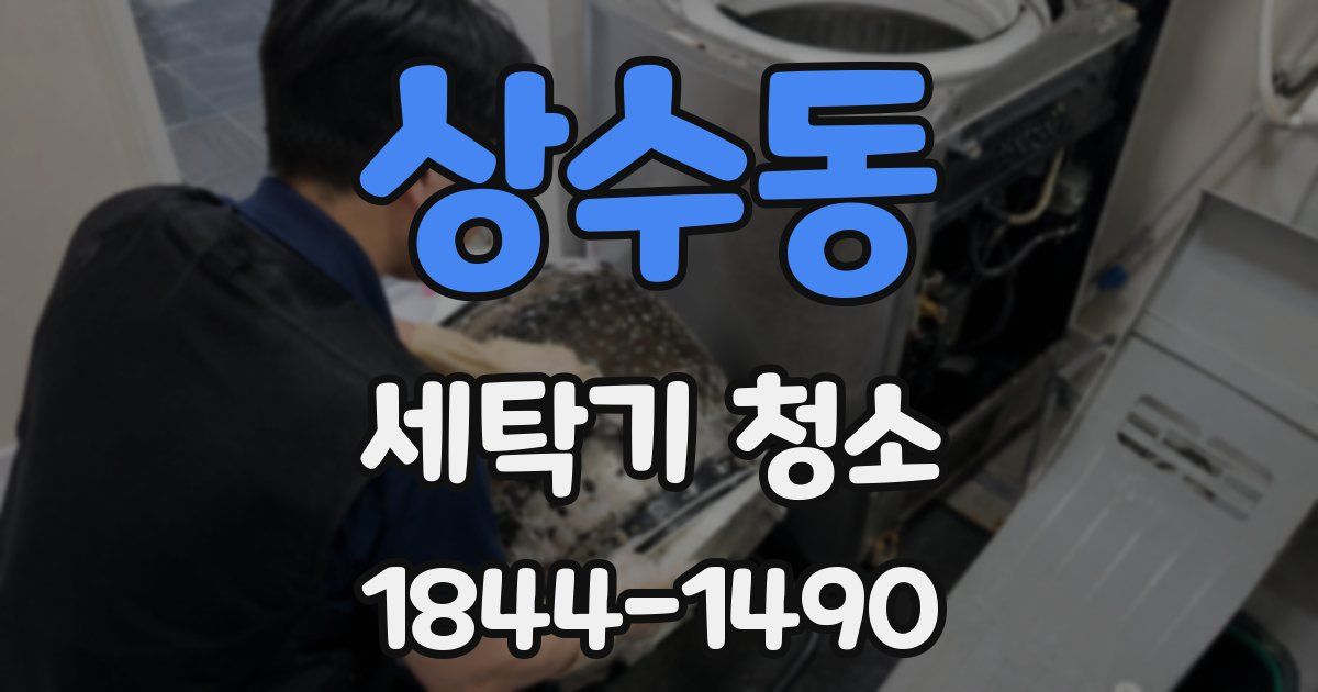 상수동 세탁기 청소
