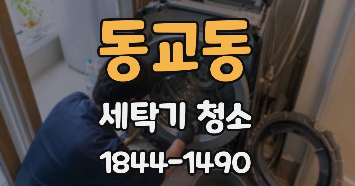 동교동 세탁기 청소