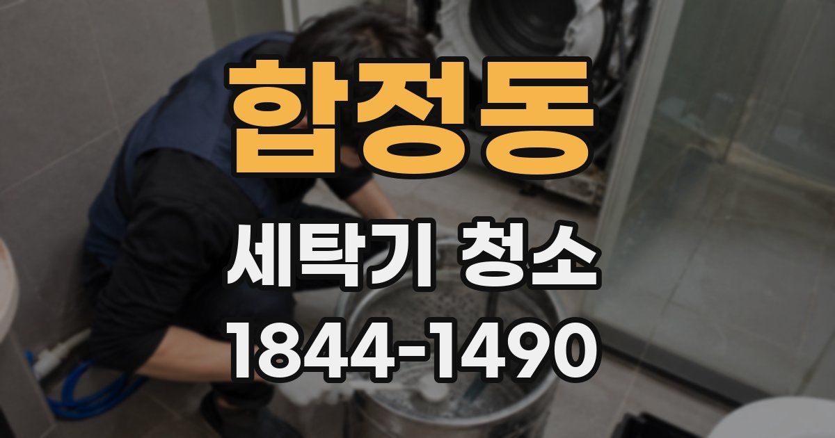 합정동 세탁기 청소
