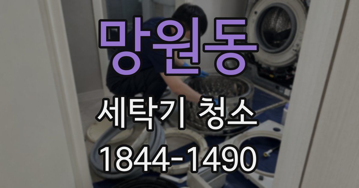 망원동 세탁기 청소