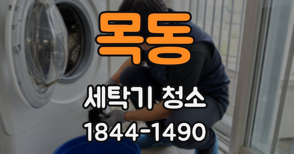 목동 세탁기 청소
