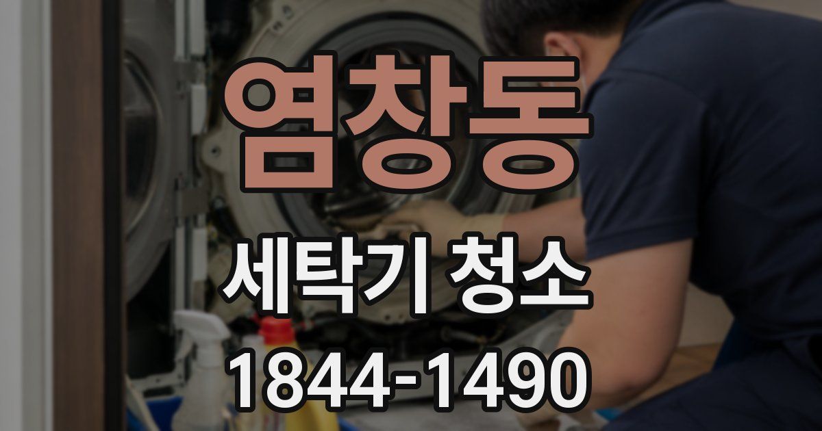 염창동 세탁기 청소