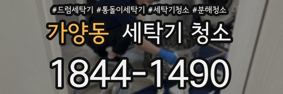 가양동 세탁기 청소