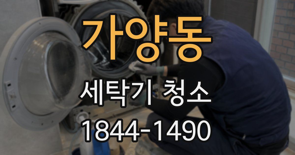 가양동 세탁기 청소