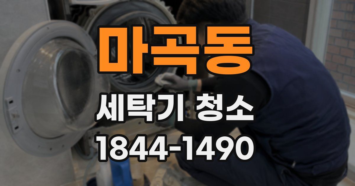 마곡동 세탁기 청소