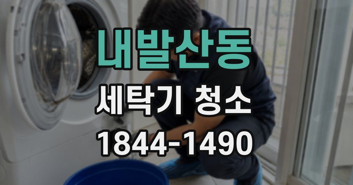 내발산동 세탁기 청소