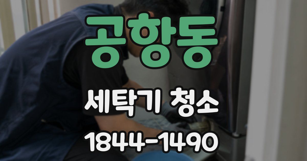 공항동 세탁기 청소