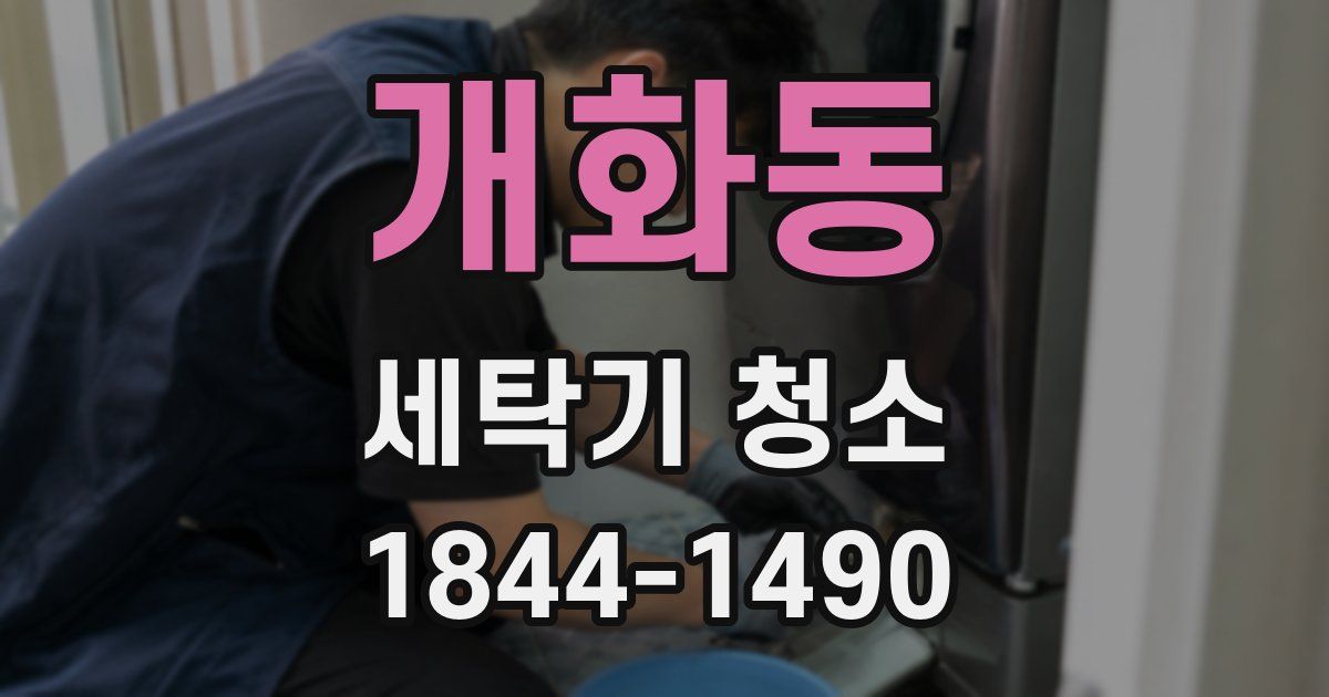 개화동 세탁기 청소
