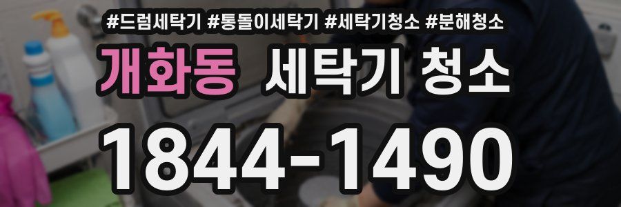 개화동 세탁기 청소