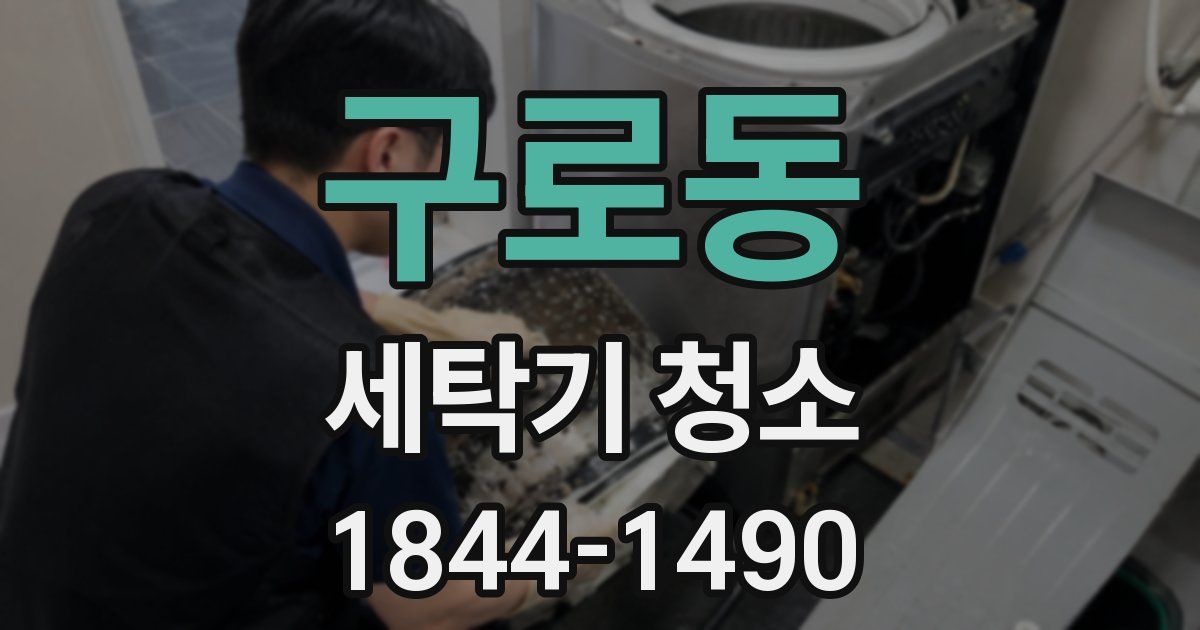 구로동 세탁기 청소