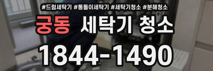 궁동 세탁기 청소
