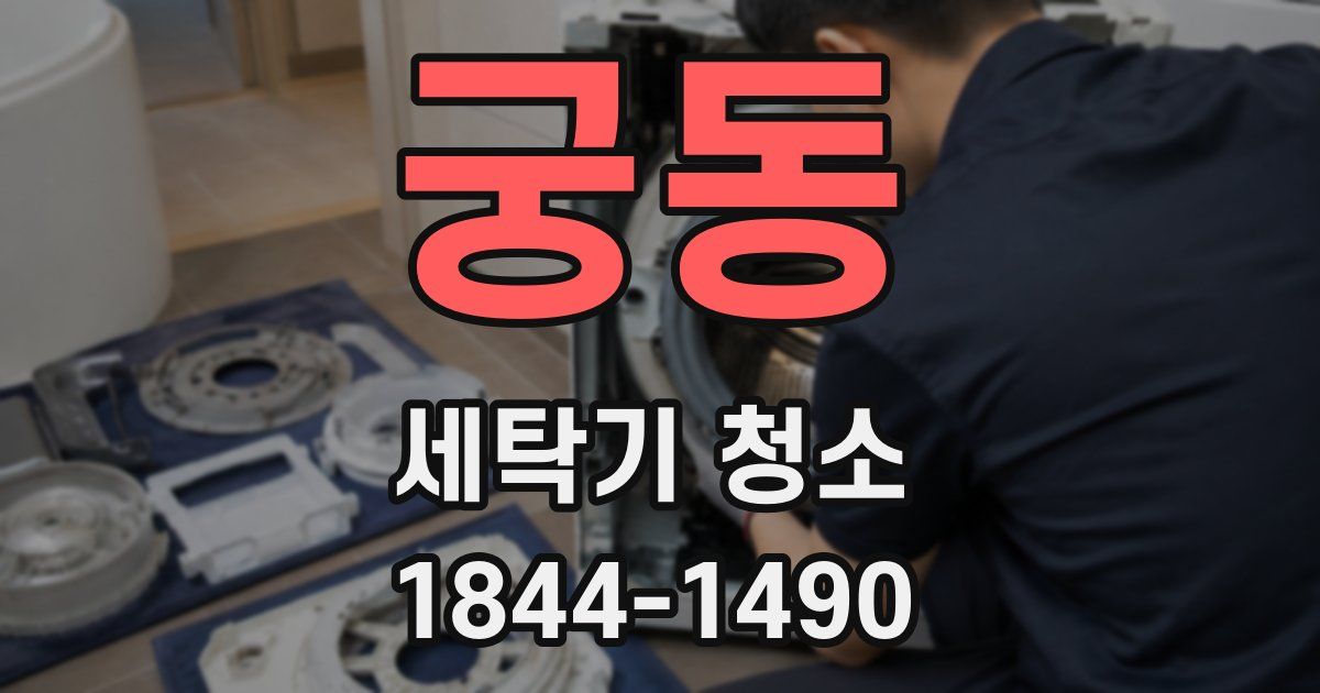 궁동 세탁기 청소
