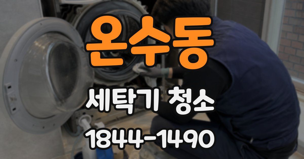 온수동 세탁기 청소