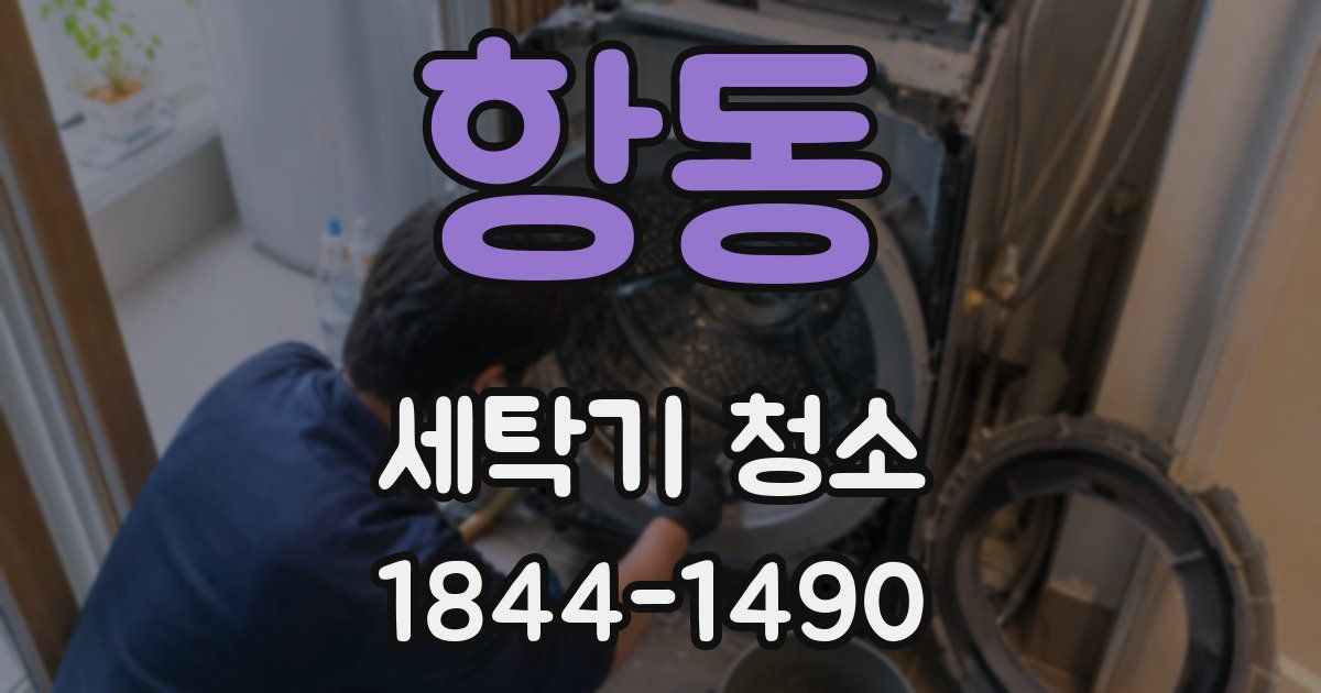 항동 세탁기 청소