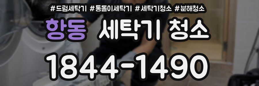 항동 세탁기 청소