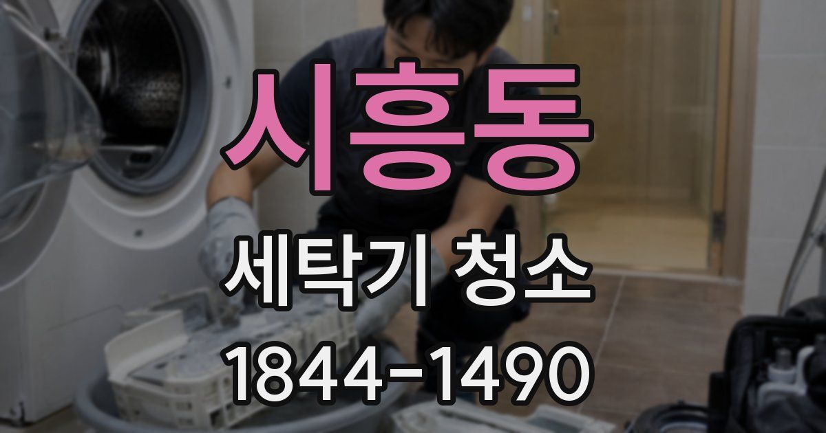시흥동 세탁기 청소