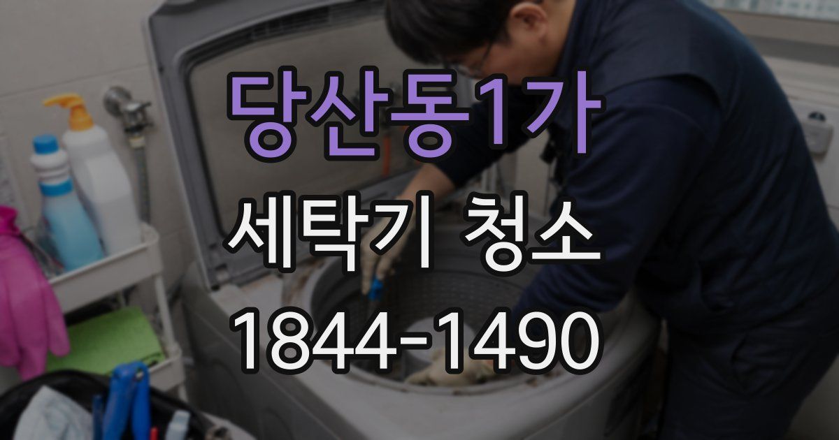 당산동1가 세탁기 청소