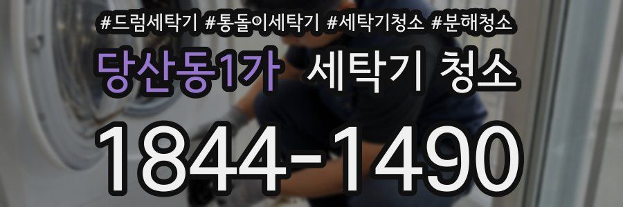 당산동1가 세탁기 청소