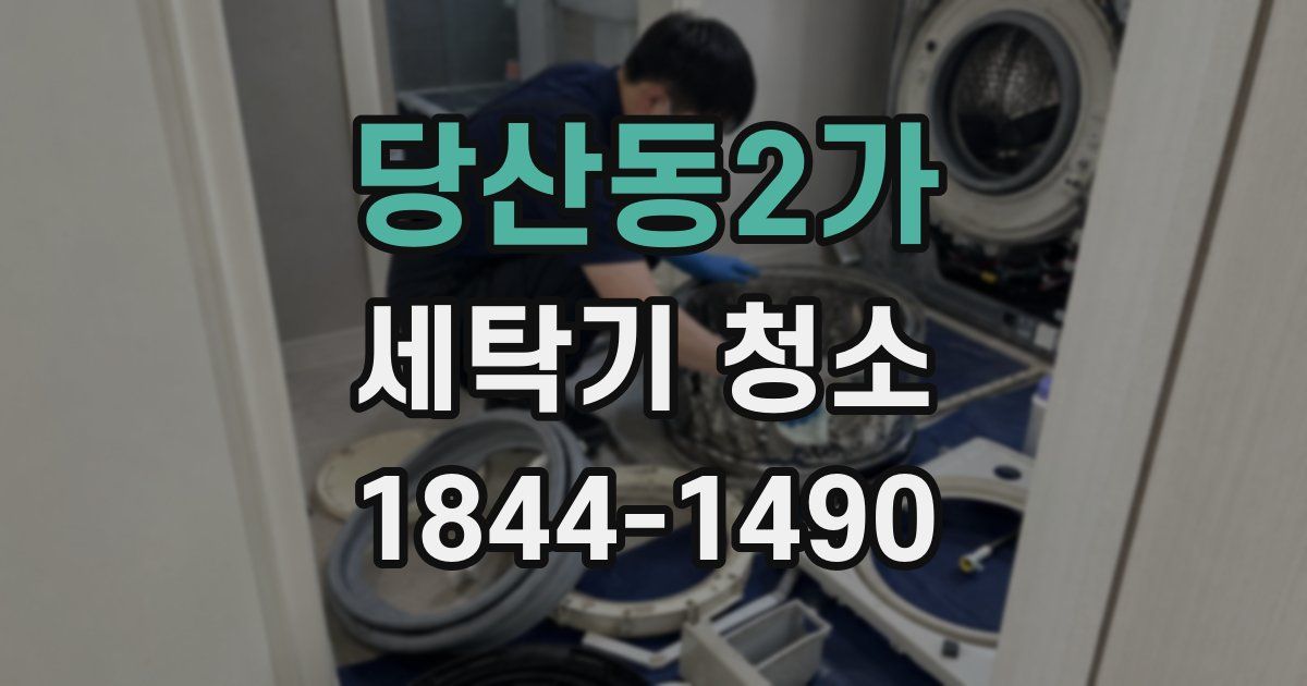 당산동2가 세탁기 청소
