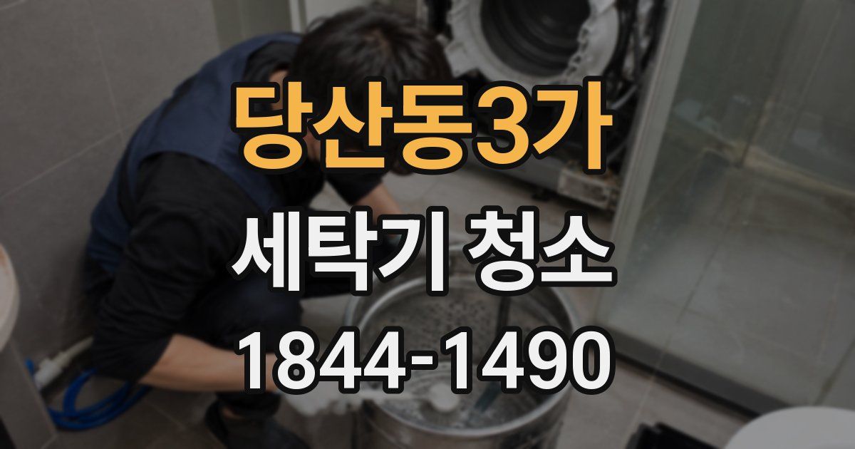 당산동3가 세탁기 청소