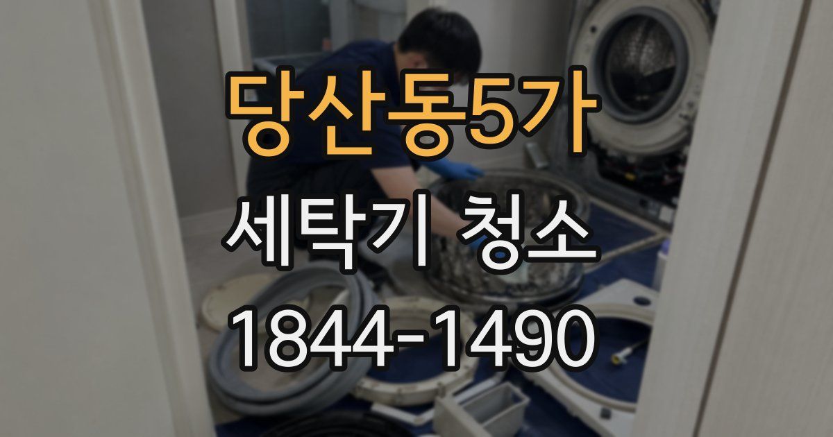 당산동5가 세탁기 청소