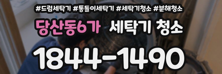 당산동6가 세탁기 청소