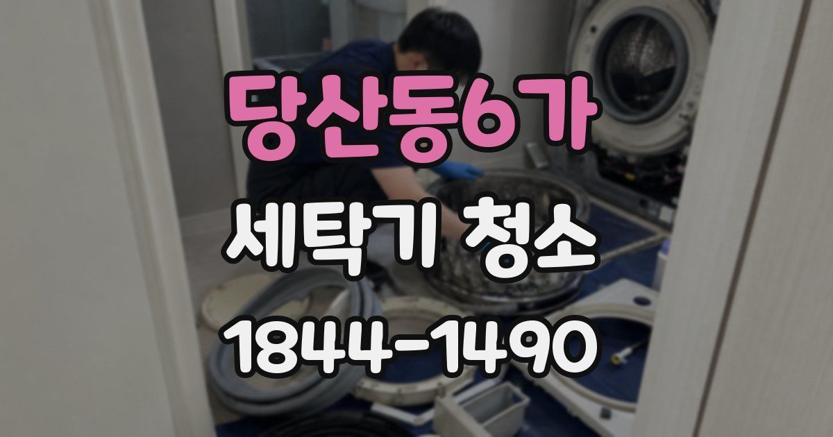 당산동6가 세탁기 청소