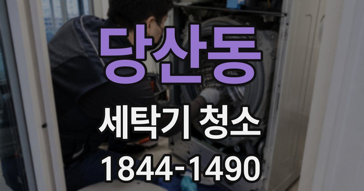 당산동 세탁기 청소