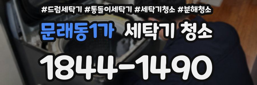 문래동1가 세탁기 청소