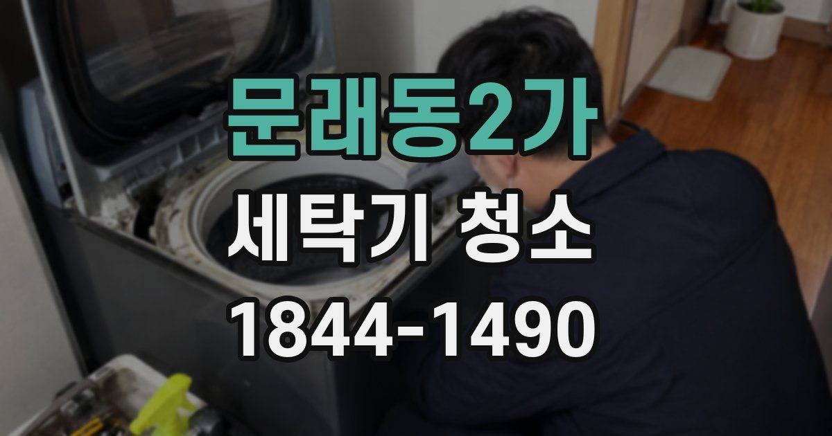 문래동2가 세탁기 청소