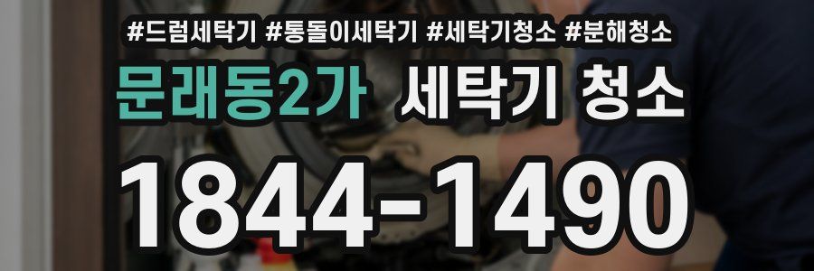 문래동2가 세탁기 청소