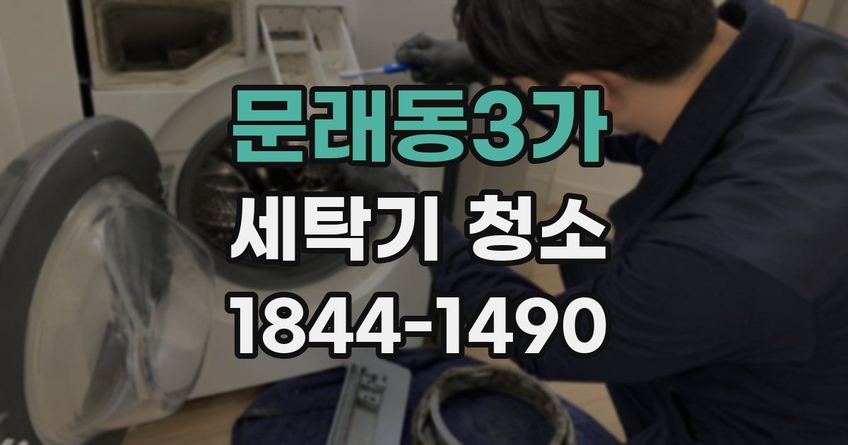 문래동3가 세탁기 청소