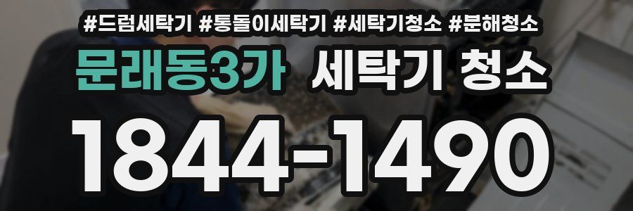 문래동3가 세탁기 청소