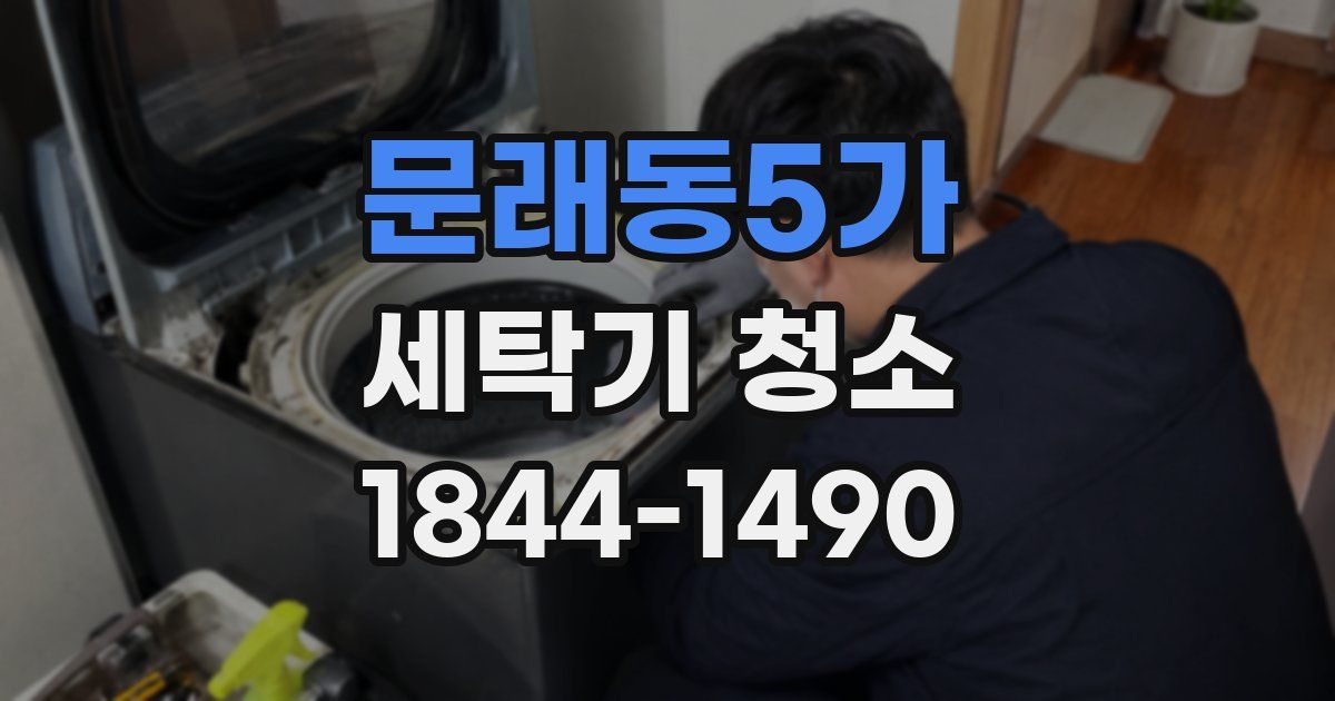 문래동5가 세탁기 청소