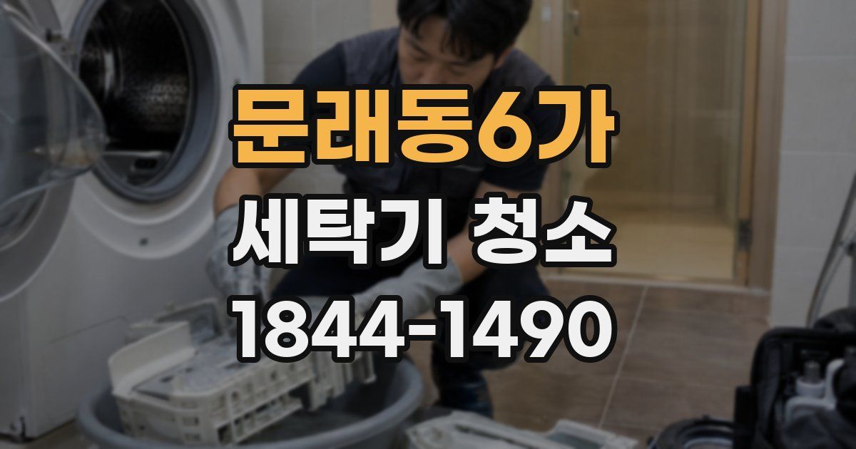 문래동6가 세탁기 청소