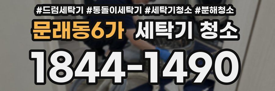 문래동6가 세탁기 청소