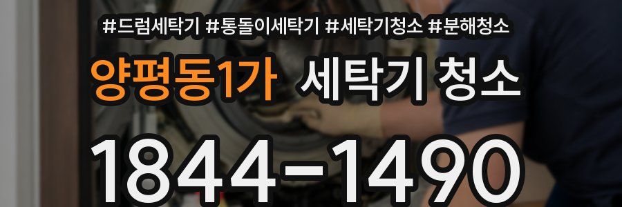 양평동1가 세탁기 청소