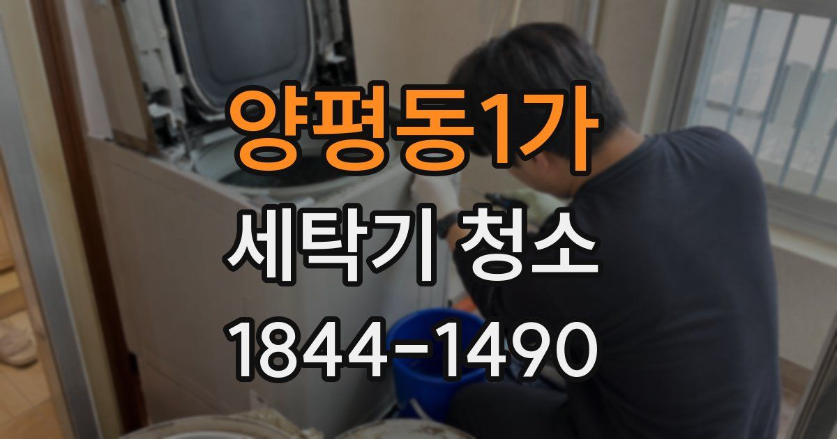 양평동1가 세탁기 청소