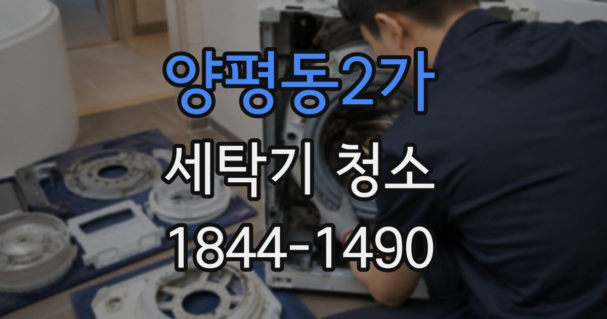 양평동2가 세탁기 청소