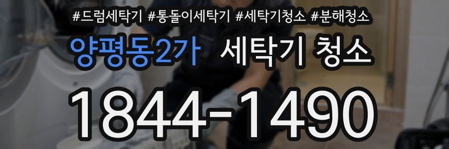 양평동2가 세탁기 청소