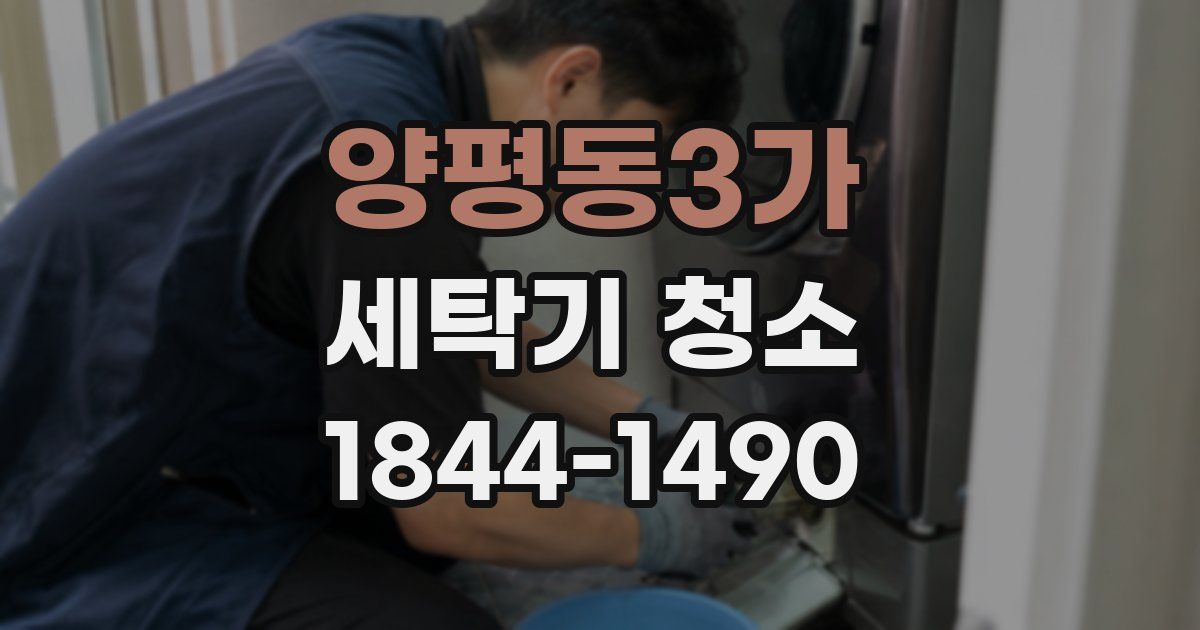 양평동3가 세탁기 청소