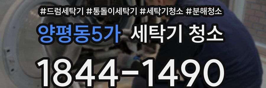 양평동5가 세탁기 청소