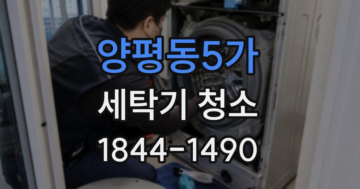양평동5가 세탁기 청소