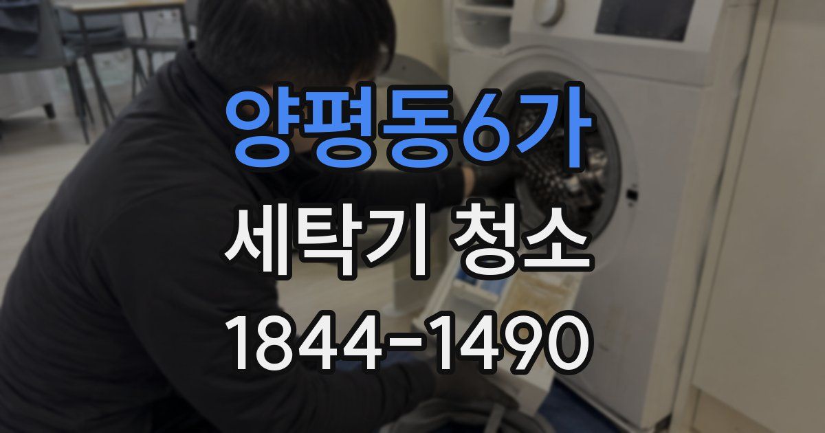 양평동6가 세탁기 청소