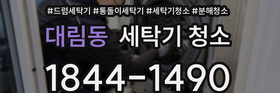 대림동 세탁기 청소